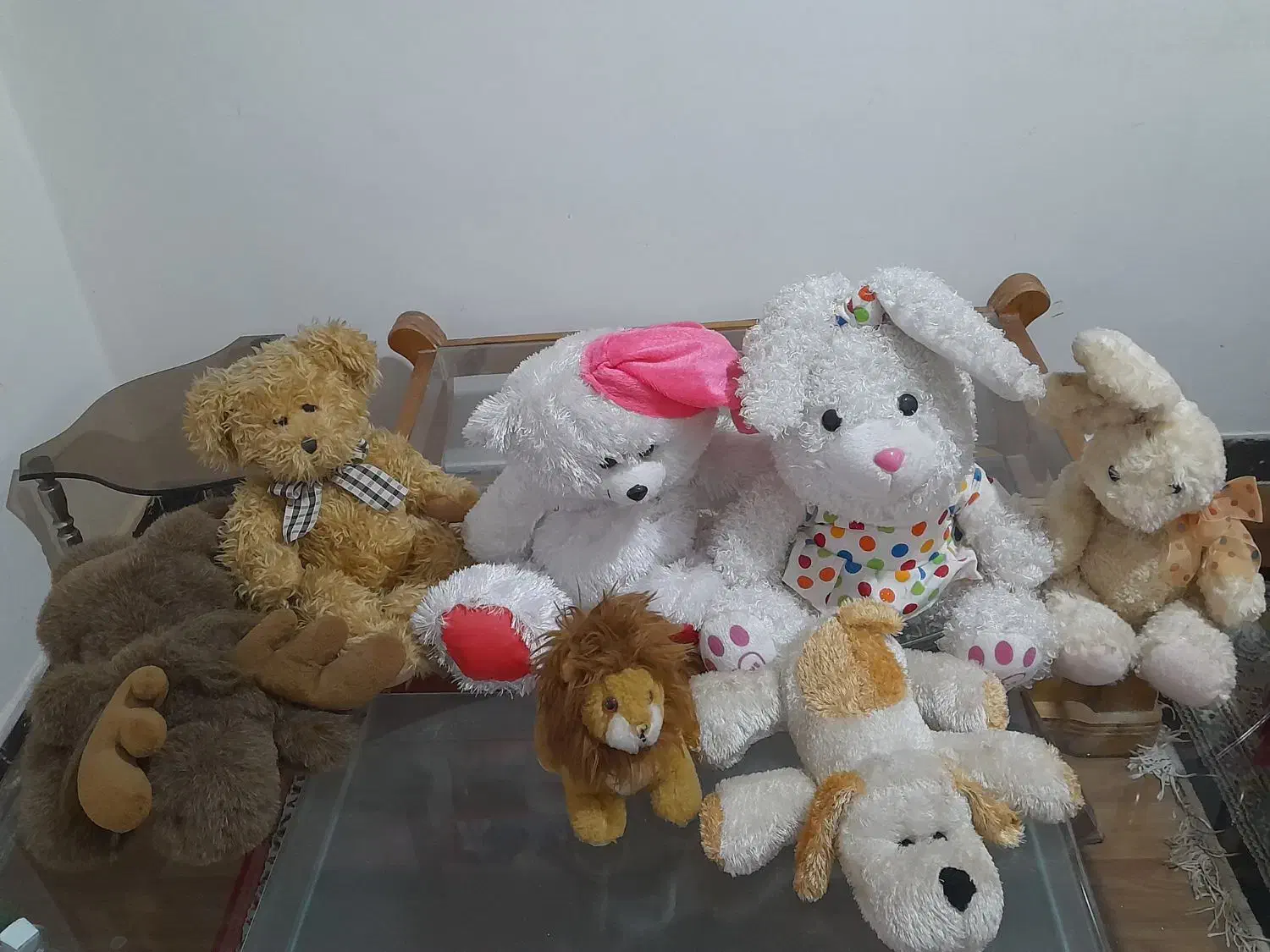 عروسک|اسباب‌‌بازی|ساری, |دیوار