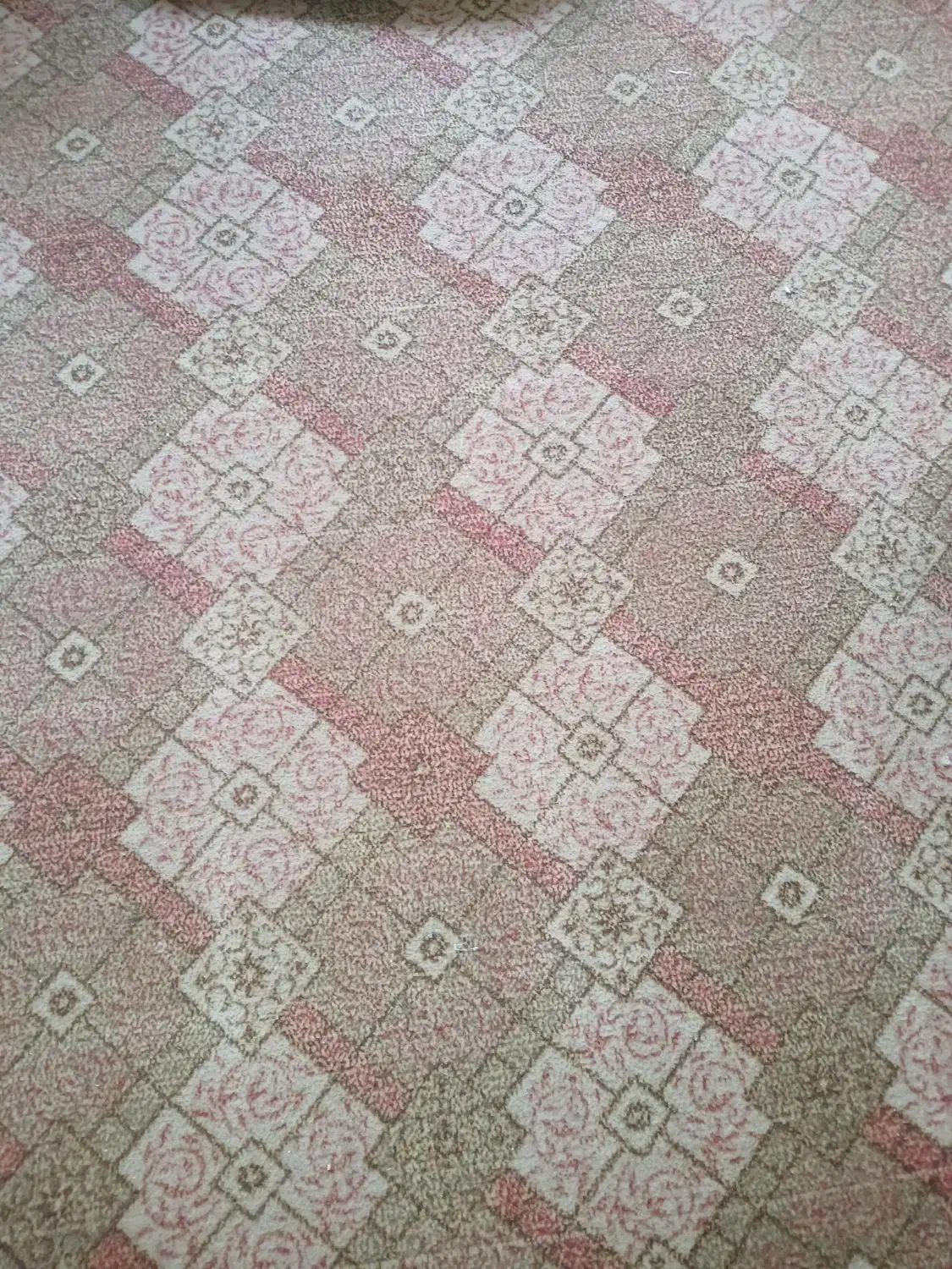 موکت|موکت|سبزوار, ولیعصر (نجار آباد)|دیوار