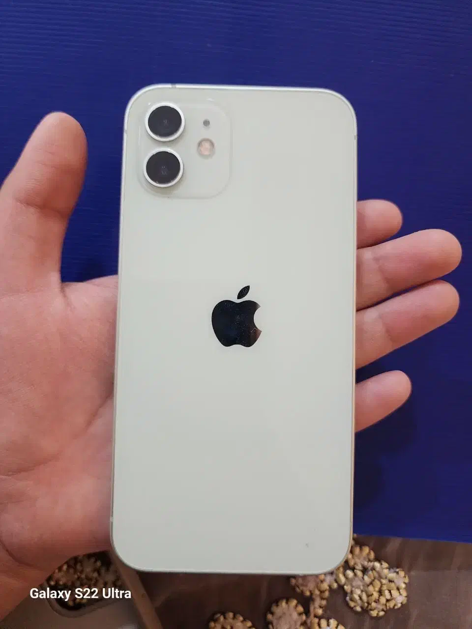 آیفون 12 نرمال|موبایل|زاهدان, |دیوار