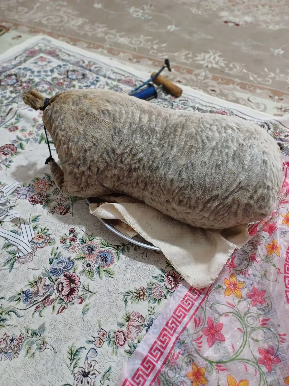 هیزه|ظروف نگهدارنده، پلاستیکی، یک‌بارمصرف|الشتر, |دیوار