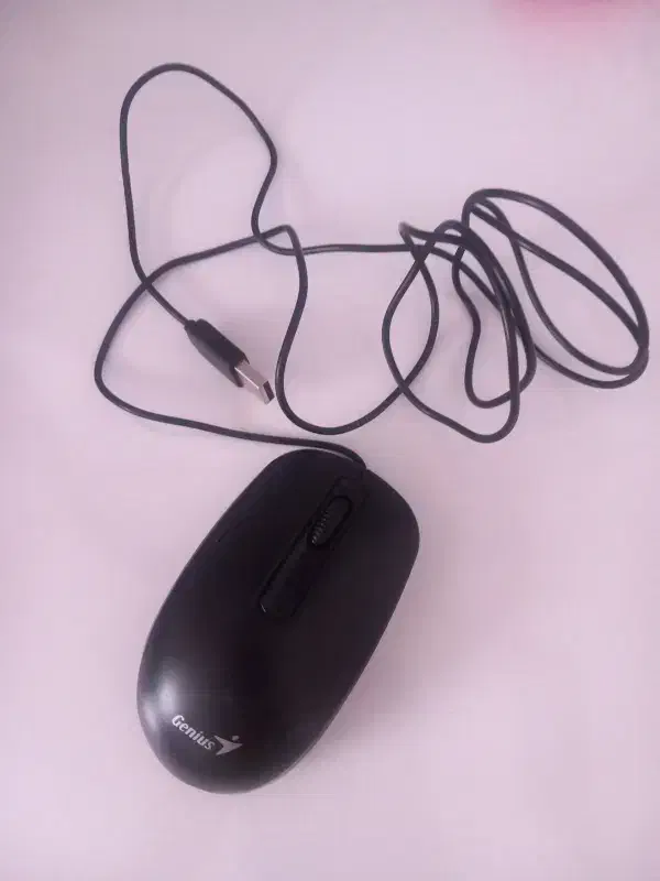 موس|قطعات و لوازم جانبی رایانه|سنندج, |دیوار