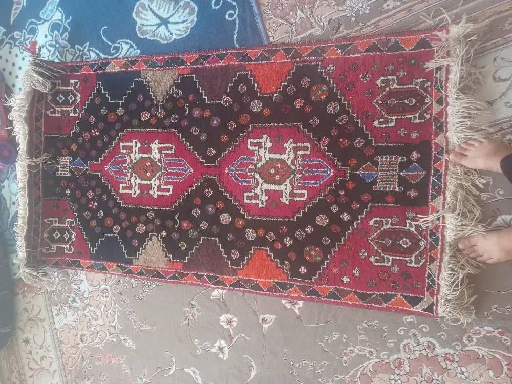 فروش قالی  دست باف|فرش|شیراز, آبیاری|دیوار