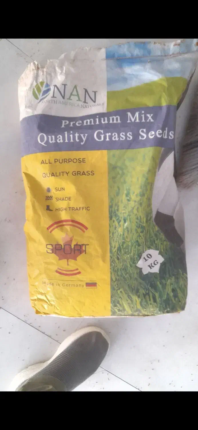 بذر چمن|گل و گیاه طبیعی|قم, نوقطار|دیوار