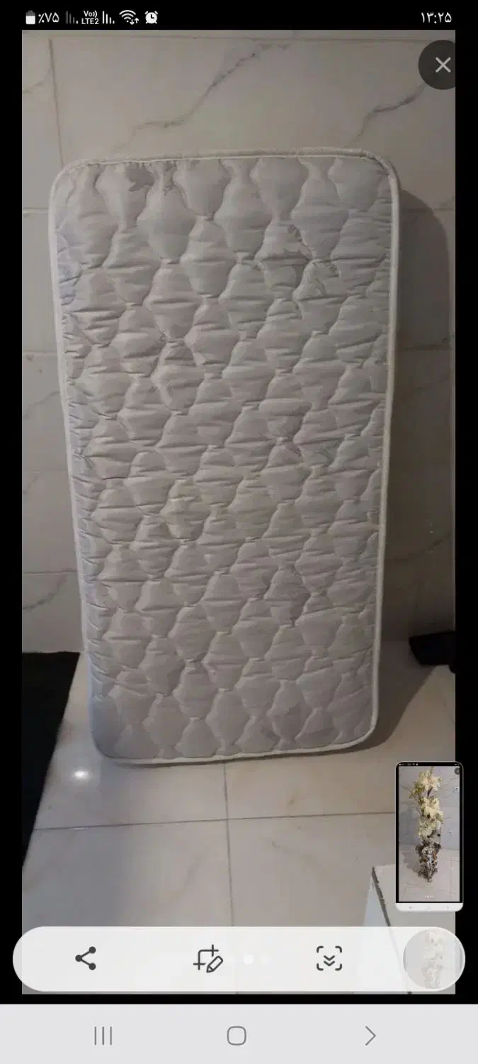 گل و گلدان|گل و گیاه طبیعی|اقبالیه, |دیوار