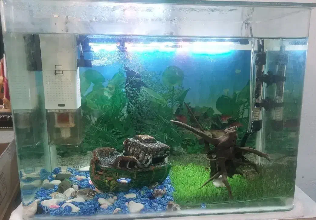 آکواریوم با لوازم|ماهی|تهران, خواجه نظام الملک|دیوار