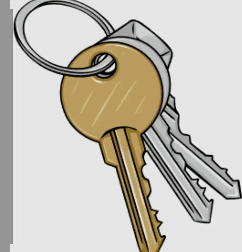 محافظ رادیات بخاری ۲۰۶ /۲۰۷/رانا/رانا پلاس|قطعات یدکی و لوازم جانبی|فومن, |دیوار