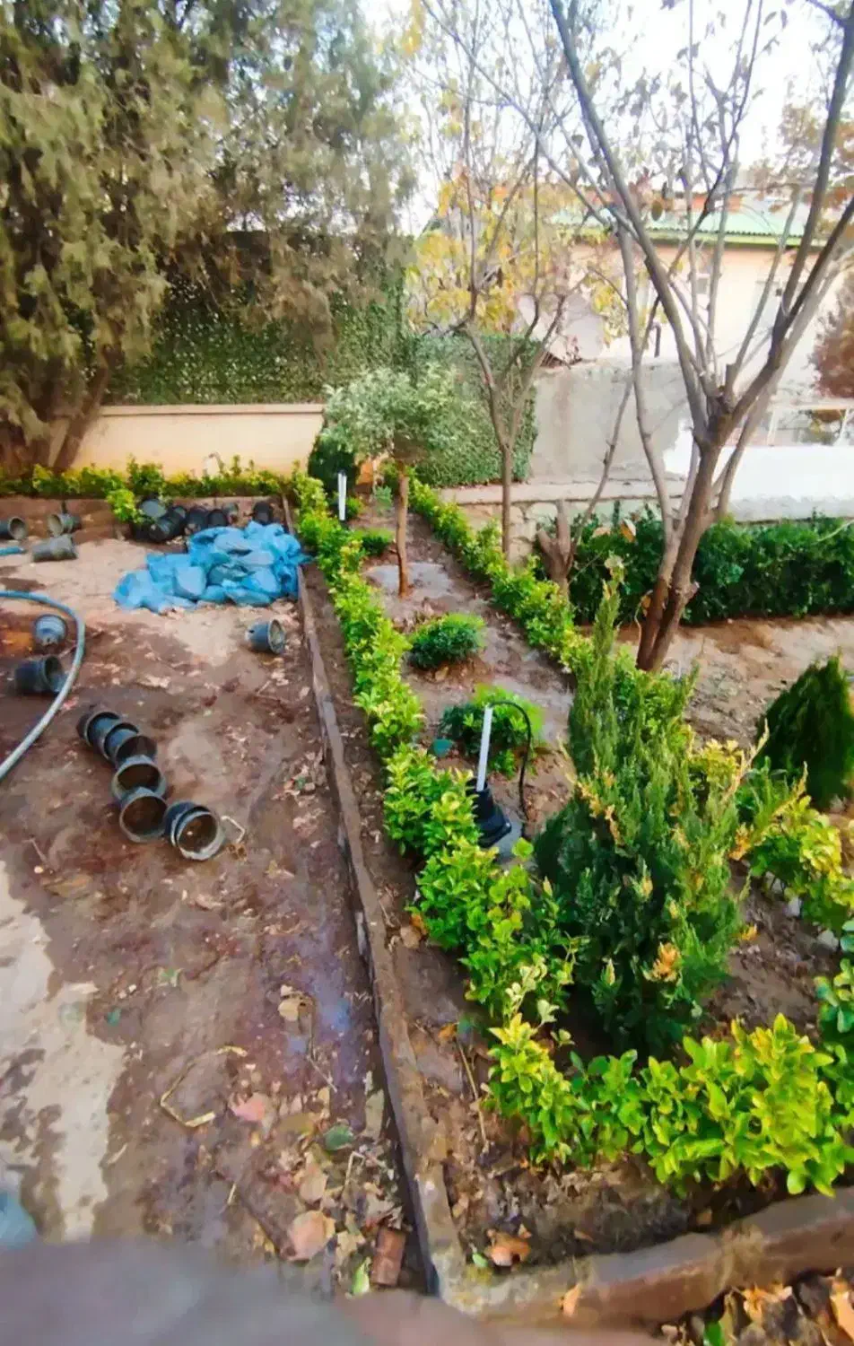 خدمات باغبانی باغچه کاری سمپاشی هرس کاری کاشت|خدمات باغبانی و درختکاری|تهران, نیروی هوایی (پیروزی)|دیوار