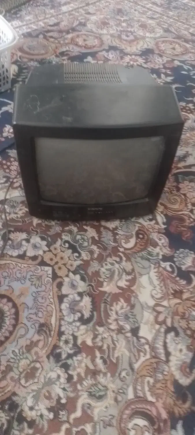 تلوزیون|تلویزیون و پروژکتور|جهرم, |دیوار