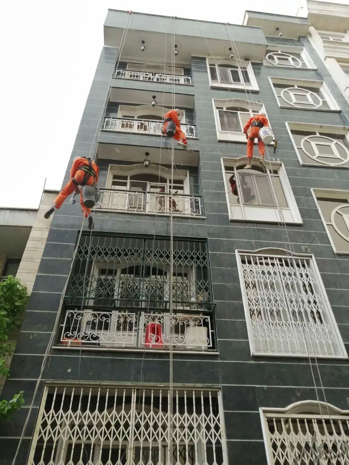 نماشویی راپل|خدمات پیشه و مهارت|تهران, بوستان چیتگر|دیوار