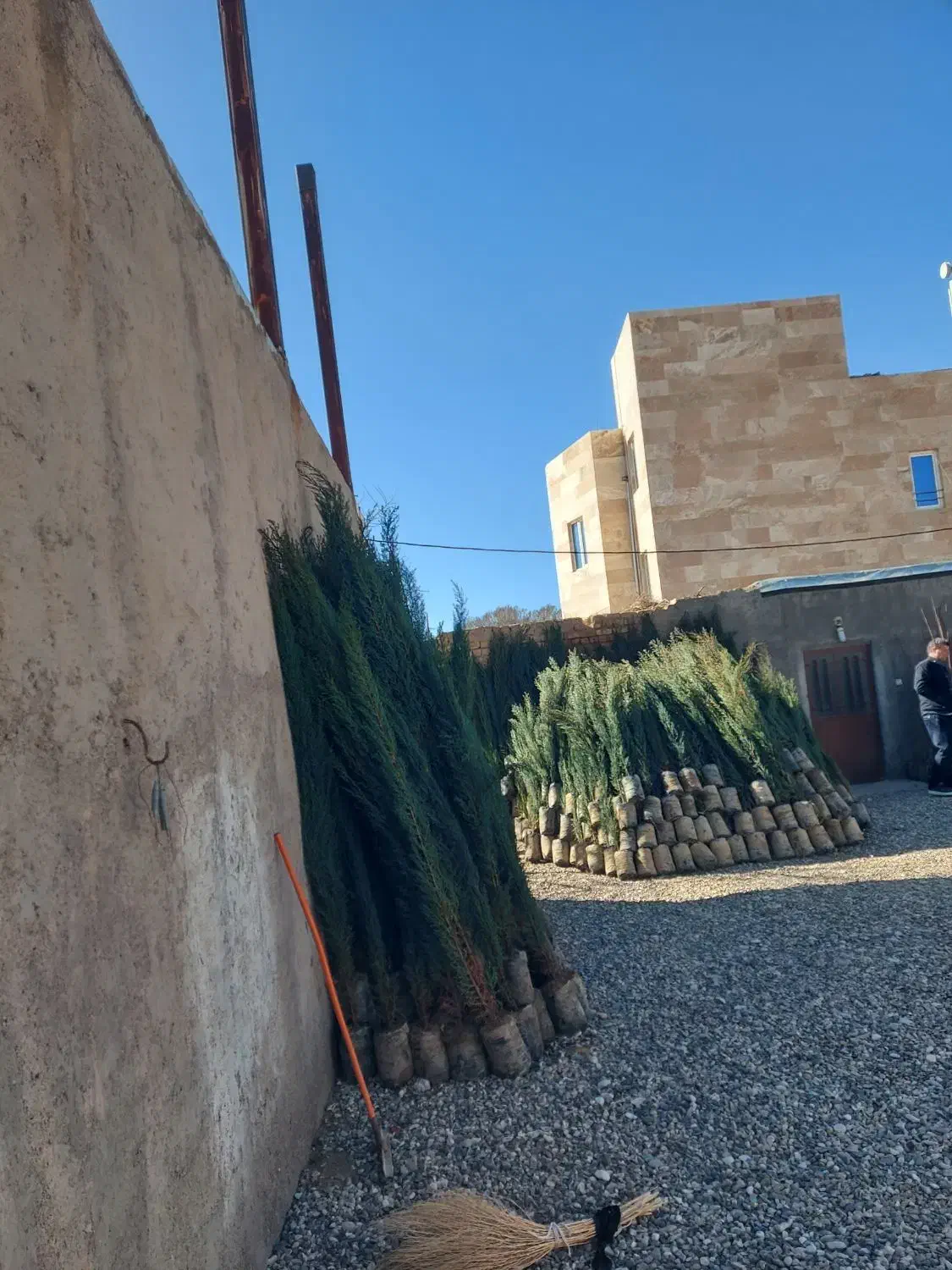 نهال|خدمات باغبانی و درختکاری|زرندیه, |دیوار