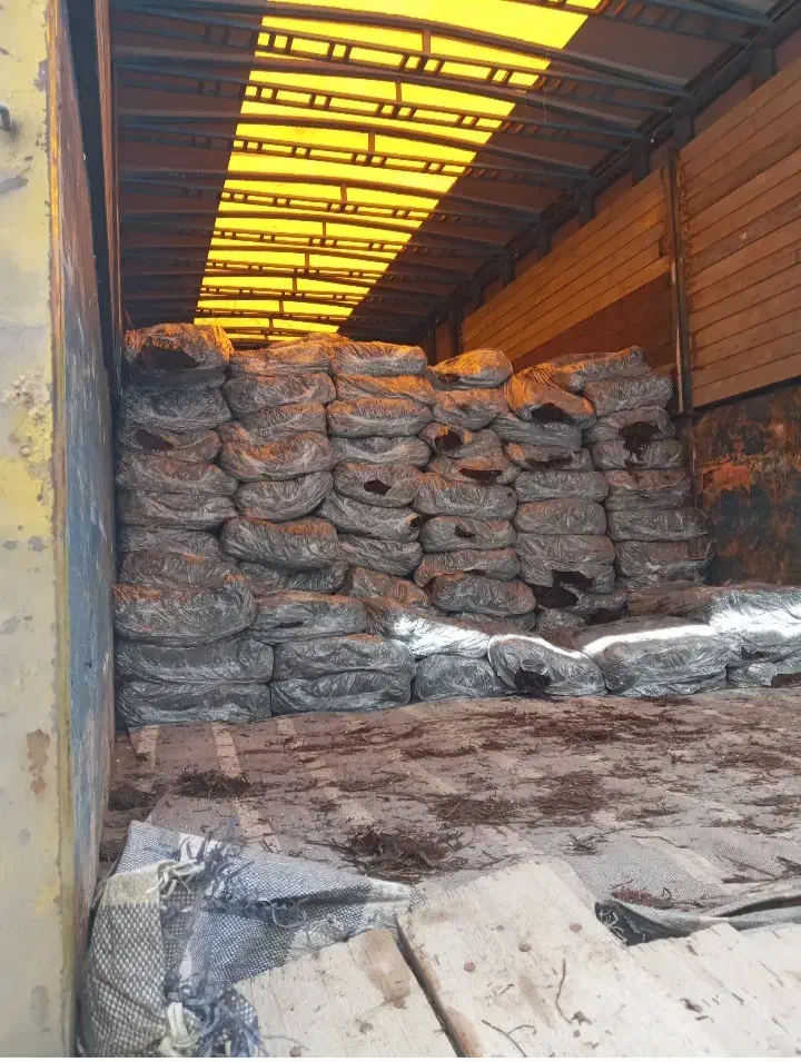 عرضه کمپوست قارچ مستقیم از کارخانه|خدمات باغبانی و درختکاری|تبریز, |دیوار