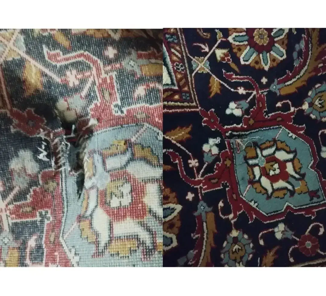 قالی|فرش|اهواز, شریعتی جنوبی|دیوار