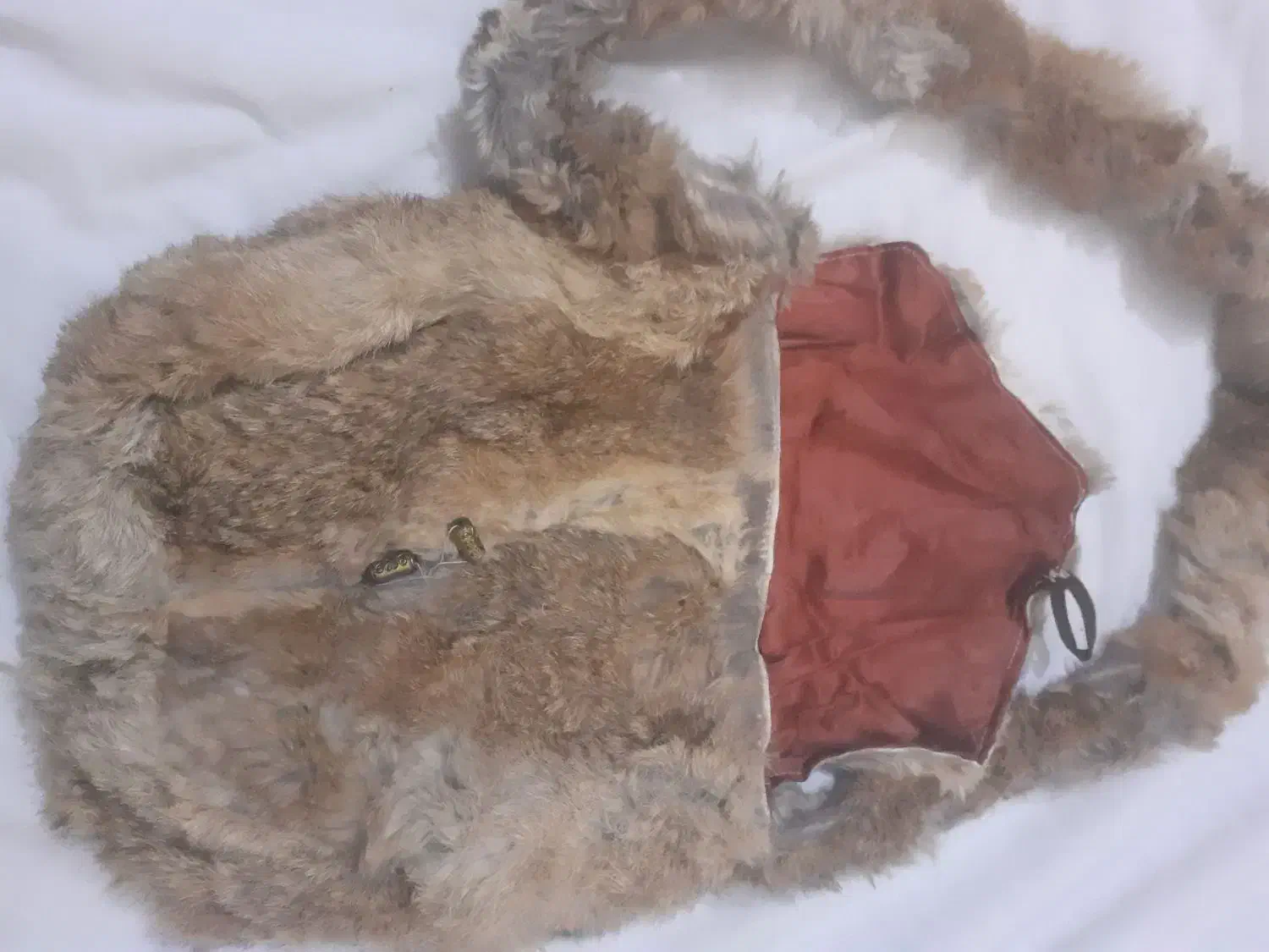 کیف با پوست طبیعی|کیف، کفش، کمربند|اصفهان, رزمندگان|دیوار