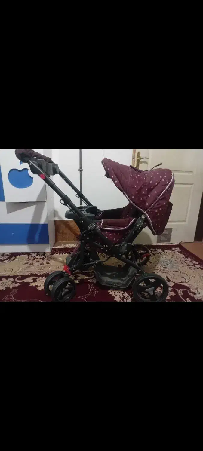 کالسکه دلیجان در حد نو|کالسکه و لوازم جانبی|شیراز, سلطان آباد|دیوار