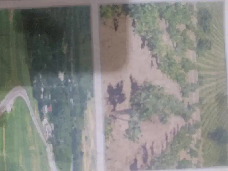 اندزفری پیدا کردم|اشیا|بومهن, |دیوار