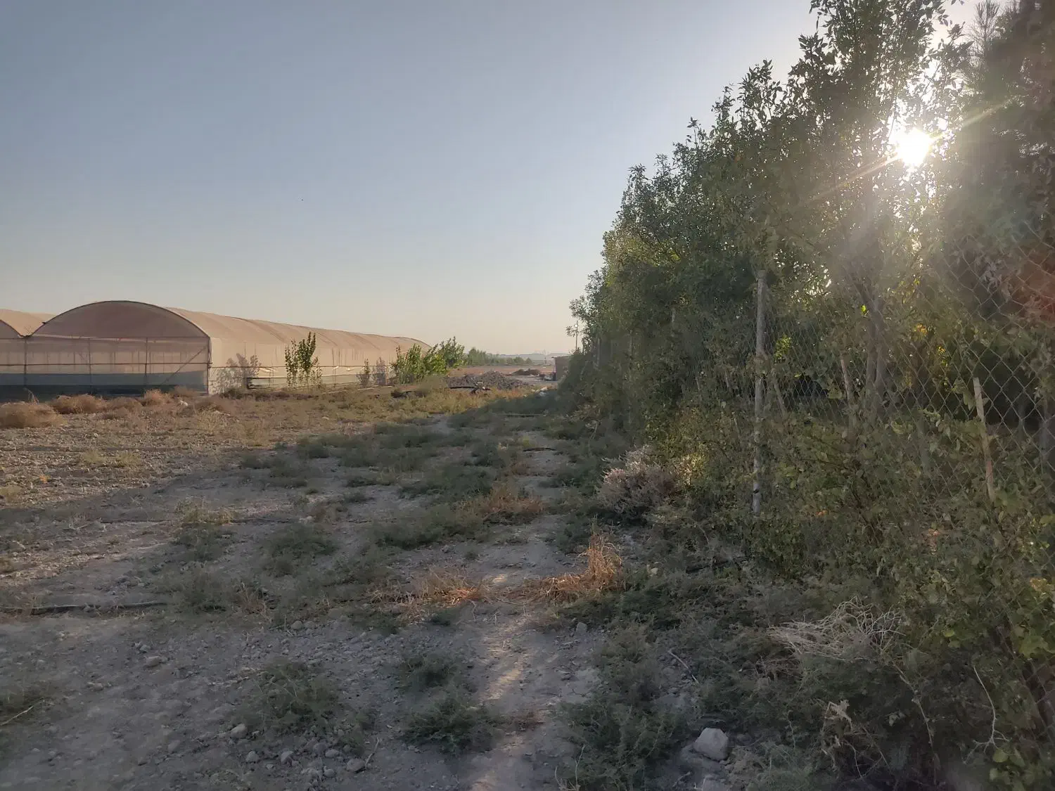 باغچه|فروش زمین و ملک کلنگی|فشاپویه, |دیوار