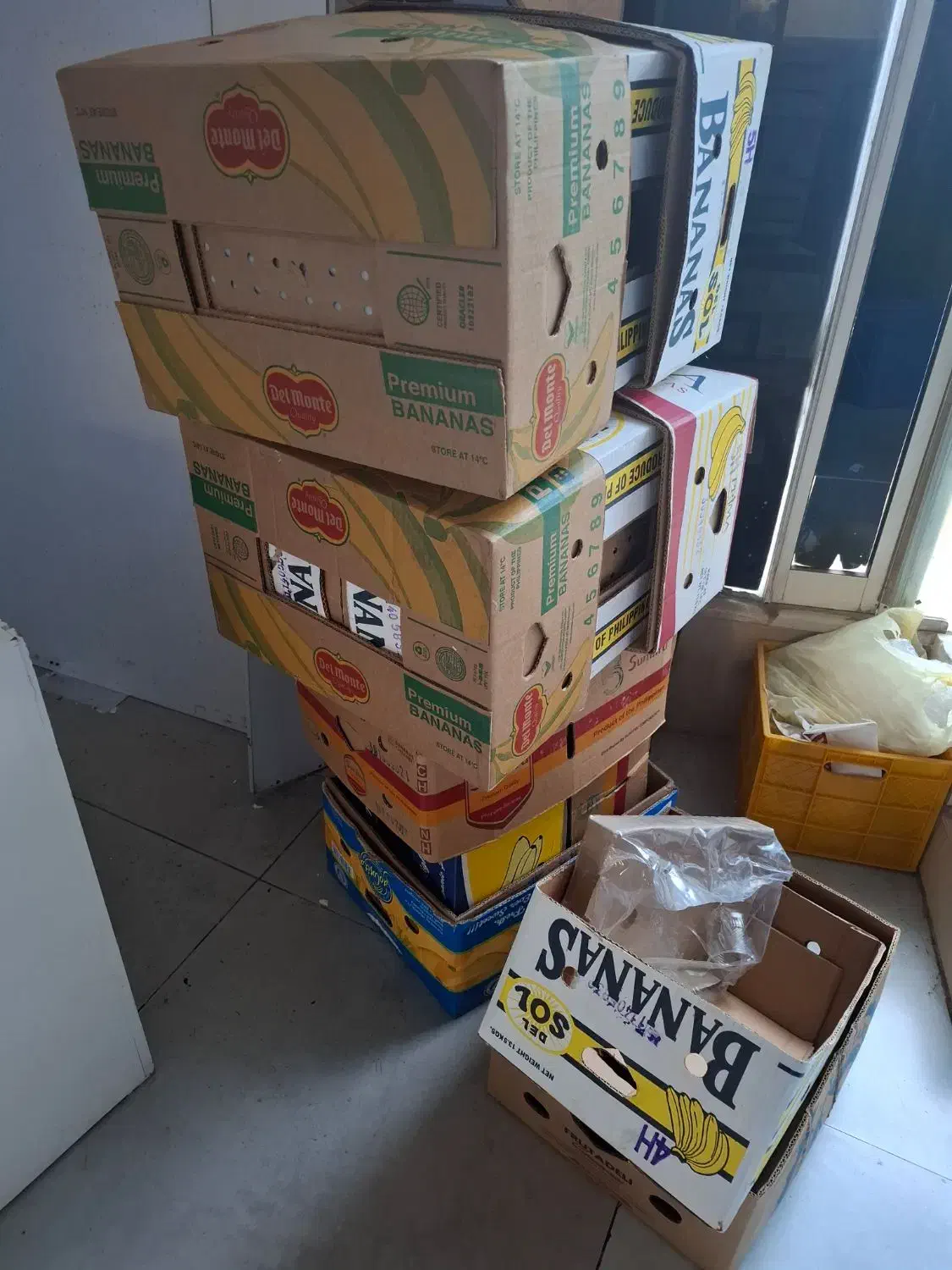 کارتن موزی|حراج|قم, الغدیر|دیوار