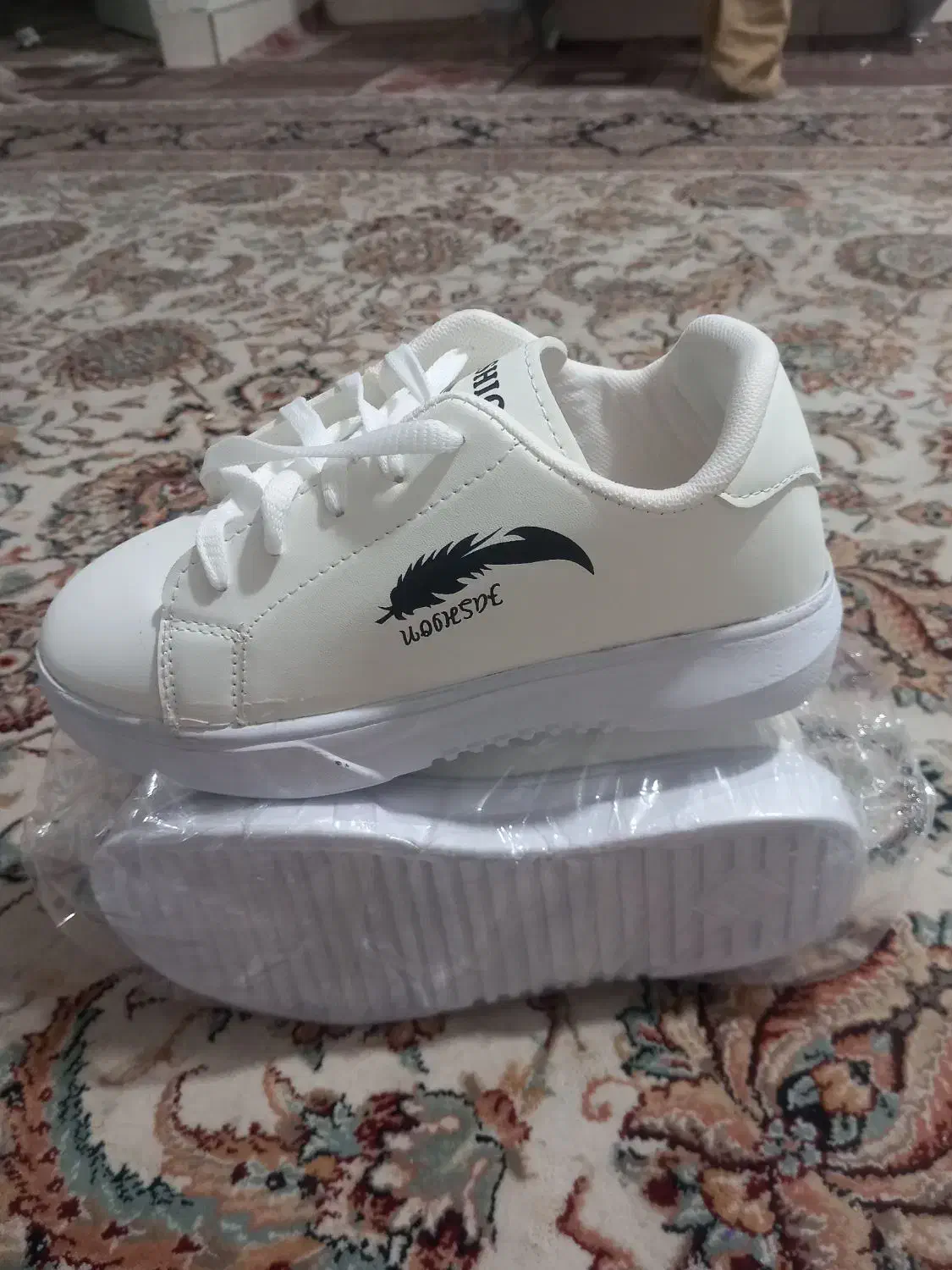 کتانی نایک|کیف، کفش، کمربند|شهریار, شهریار|دیوار