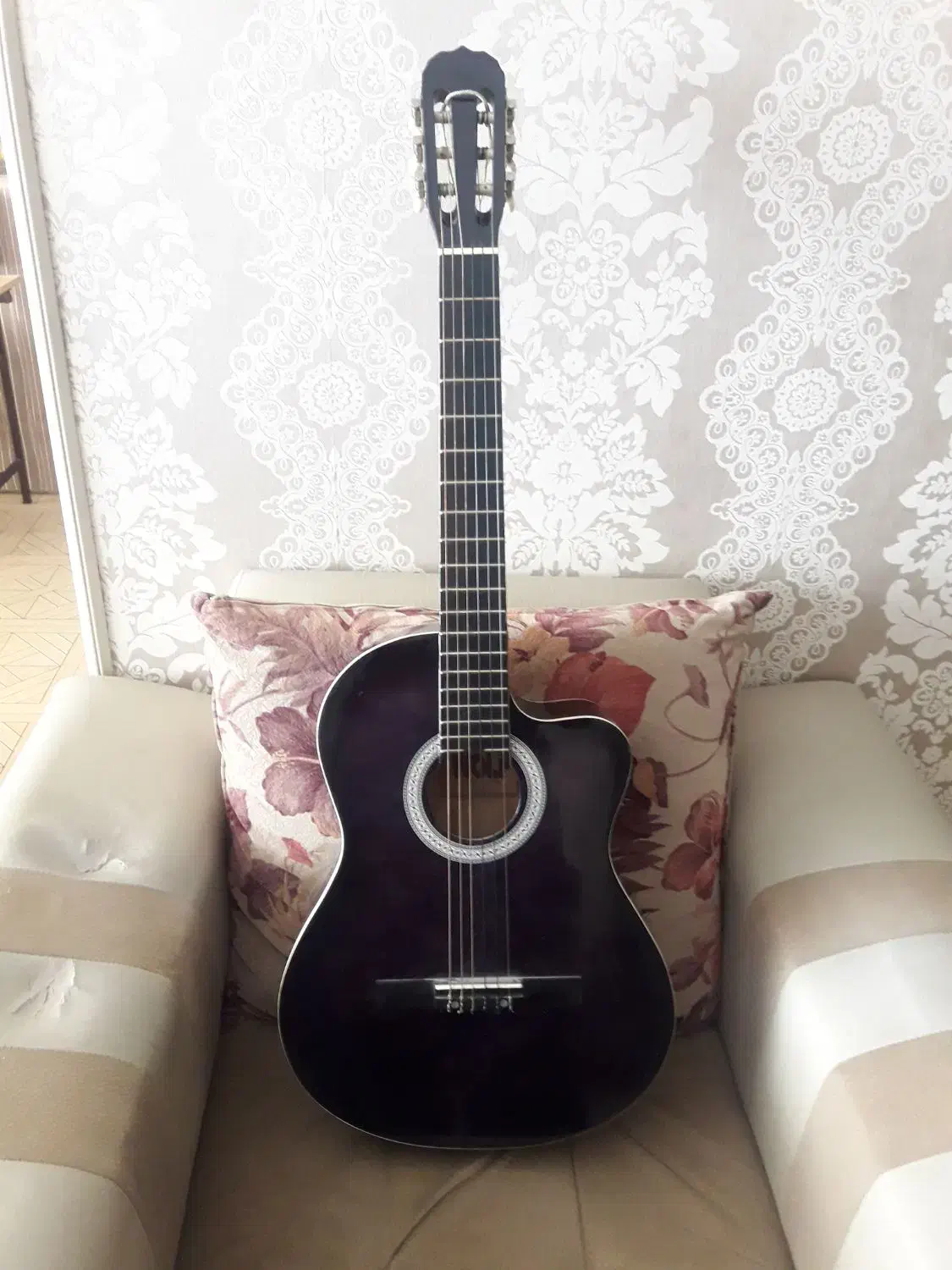 گیتار برند ولف|گیتار، بیس، امپلیفایر|سقز, |دیوار