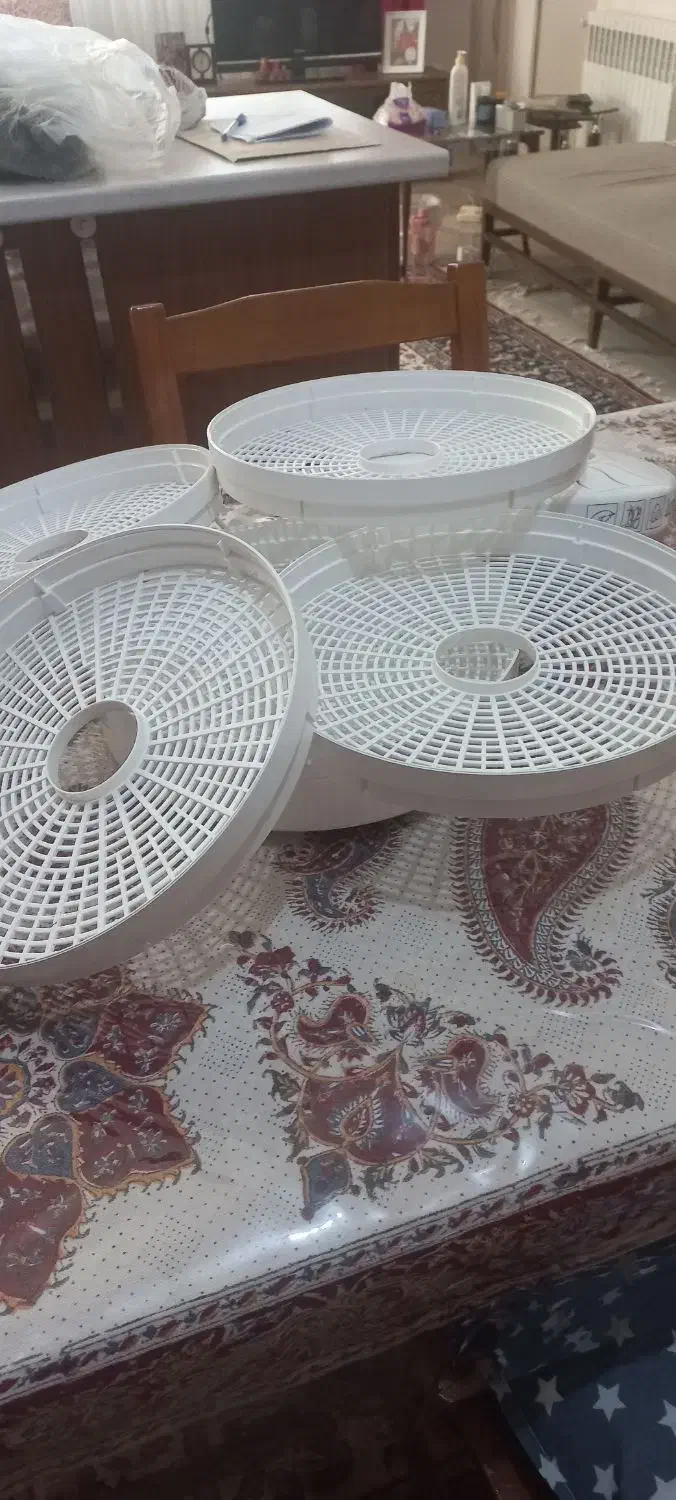 میوه خشک کنی سایا مدل GP102|سایر لوازم برقی|اصفهان, قلعه طبره|دیوار