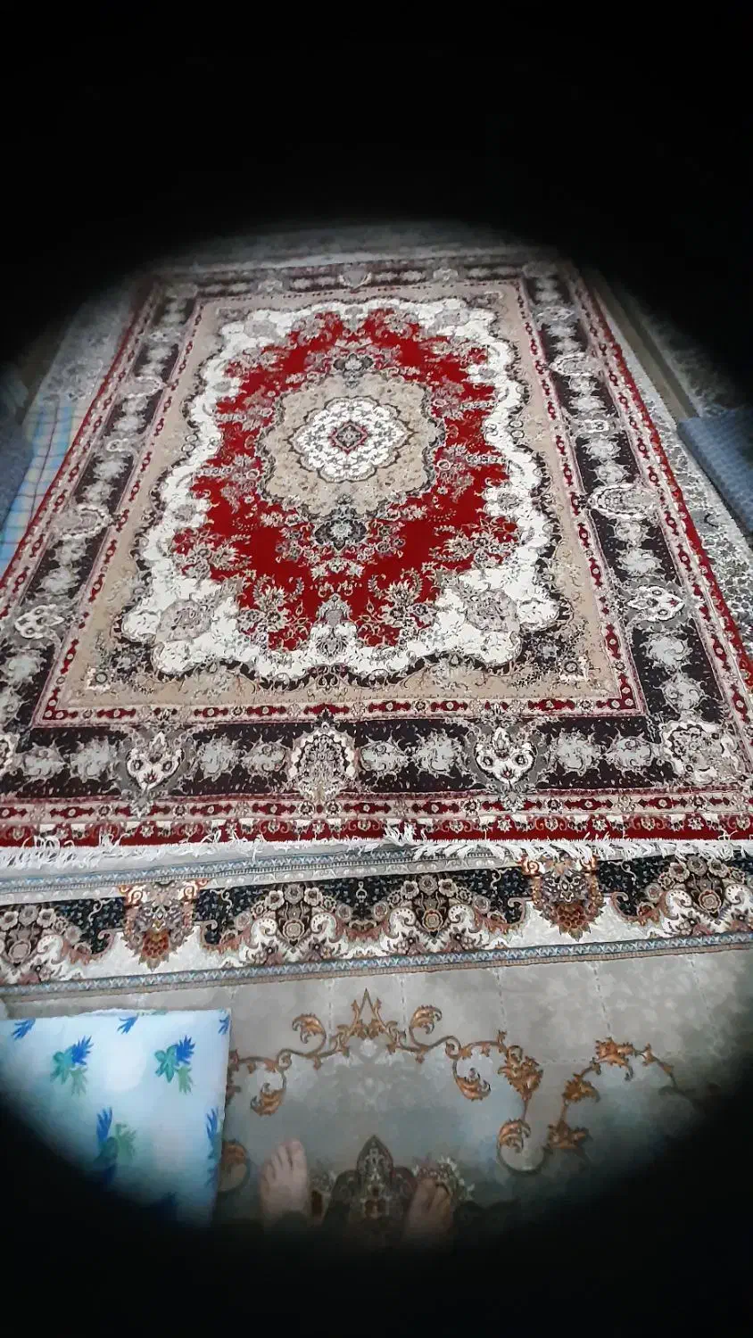 فروش فرش|فرش|بوشهر, |دیوار