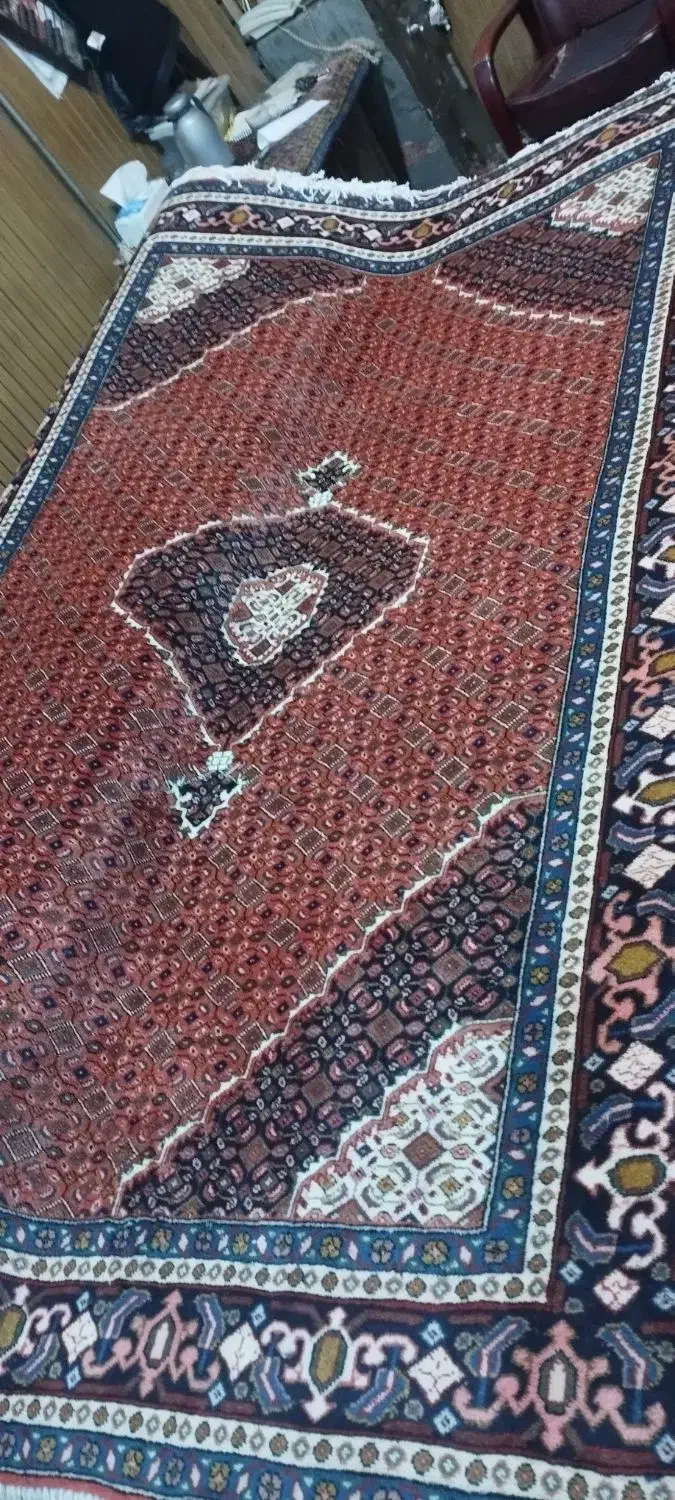 یک جفت 6متری درحد فوری|فرش|اردبیل, |دیوار