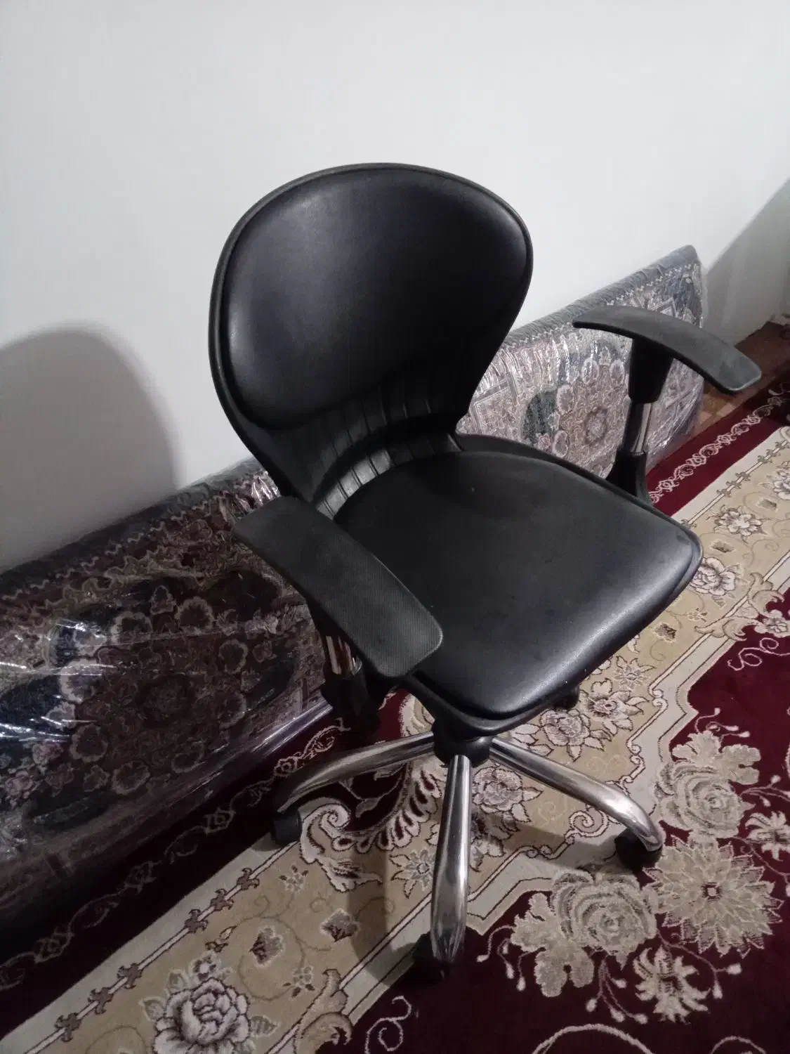 صندلی صدفی|صندلی و نیمکت|رستمکلا, |دیوار