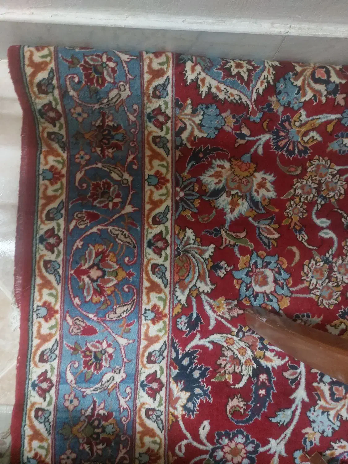 فرش دستباف|فرش|شیراز, فرهنگ شهر|دیوار