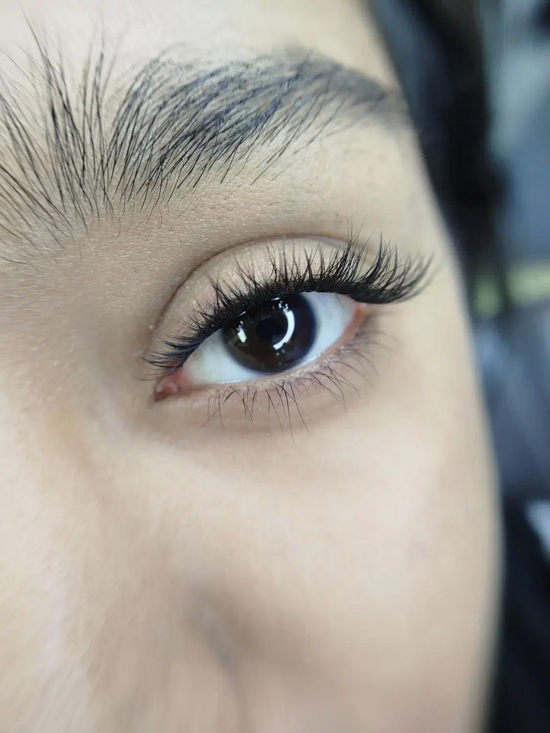 کاشت و اکستنشن مژه و لیفت ابرو و آموزش ۳۰٪ تخفیف|خدمات آرایشگری و زیبایی|کرمانشاه, |دیوار