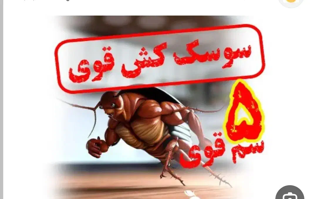 طعمه موش سم ساس مارمولک موریانه گال سوسک..|عمدهفروشی|قم, چهل درخت|دیوار