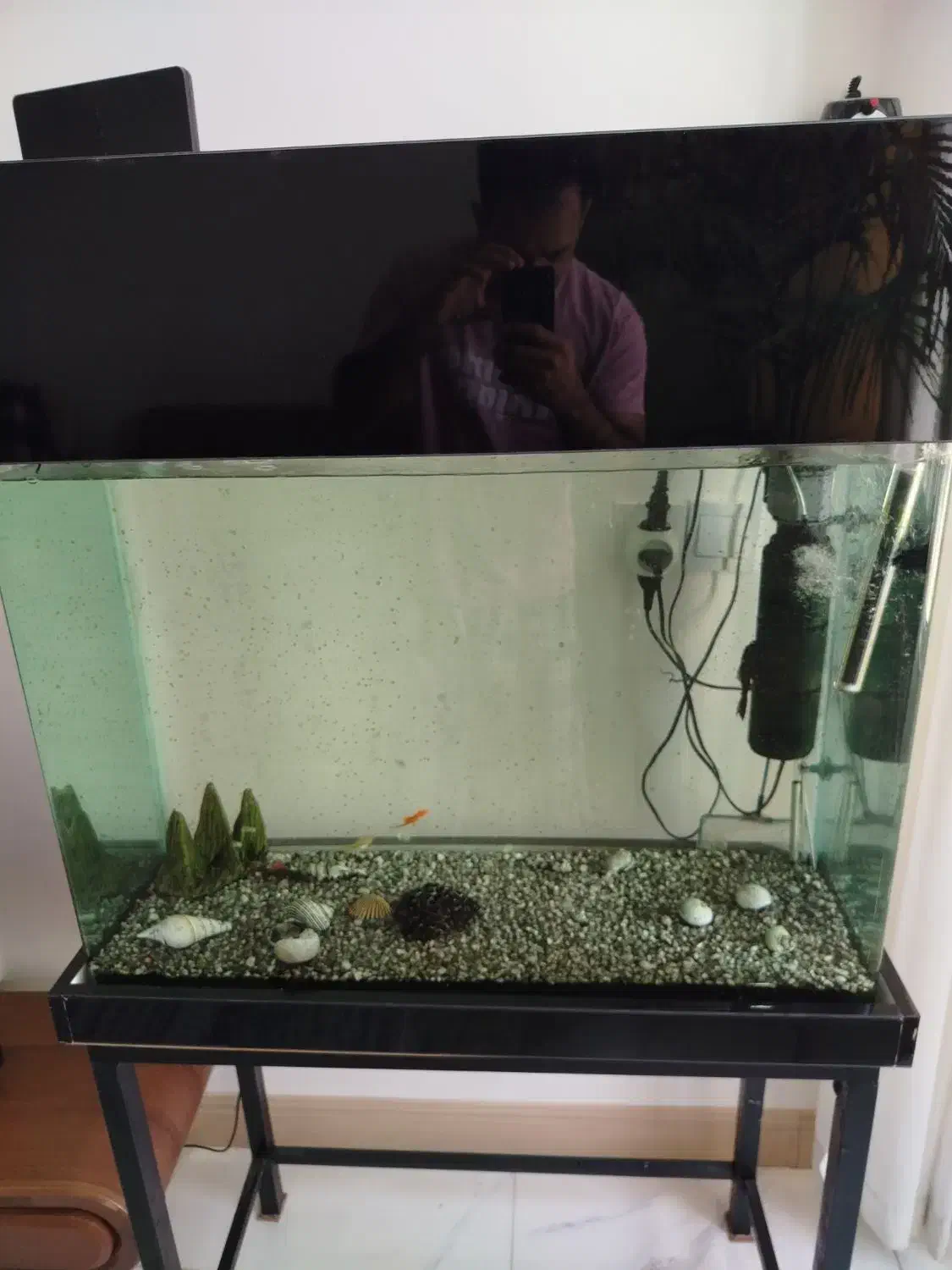 آکواریوم شیشه خم|ماهی|پاکدشت, پاکدشت (مامازند)|دیوار