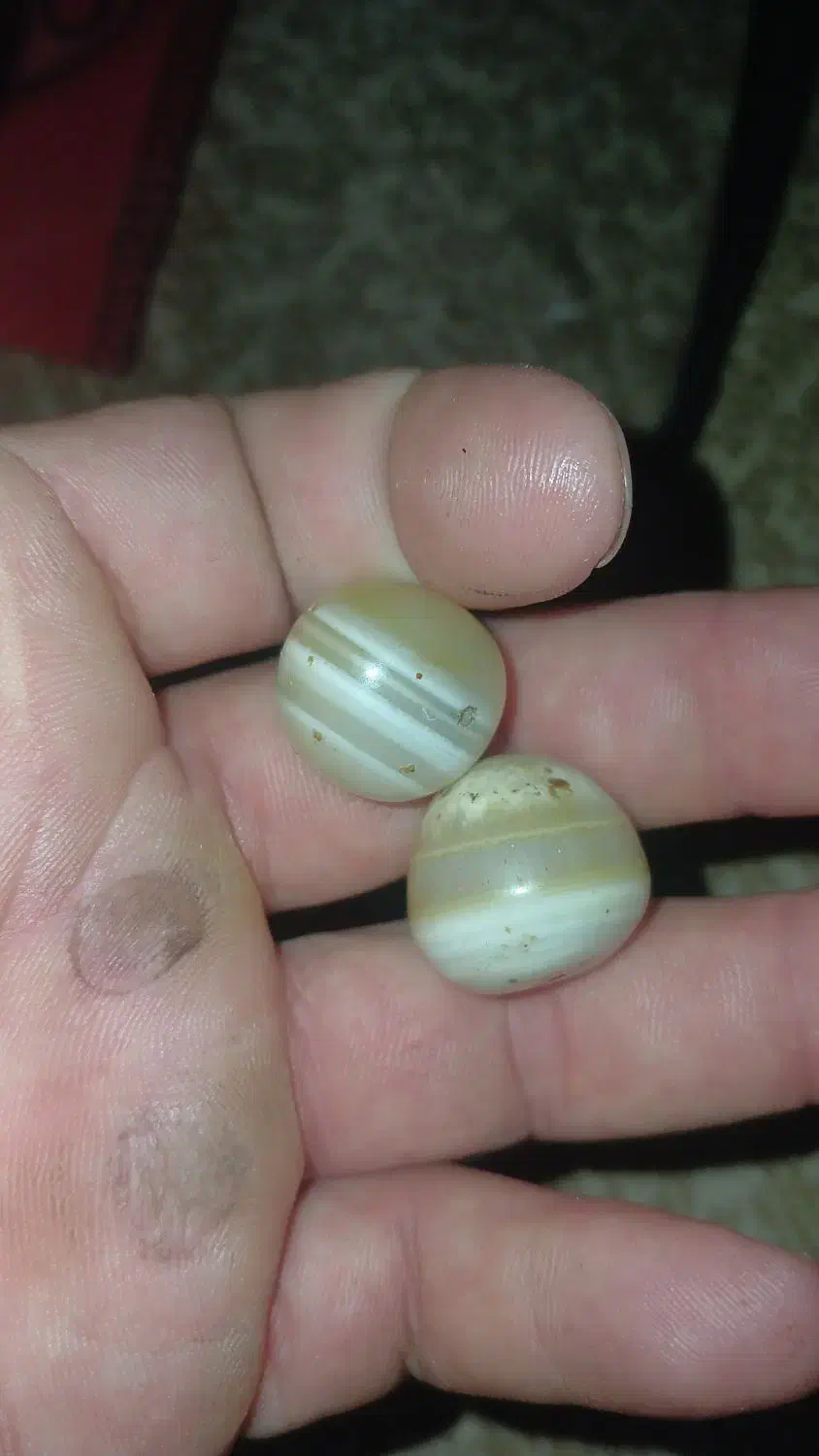 مهره برد|کلکسیون اشیاء عتیقه|باغ ملک, |دیوار