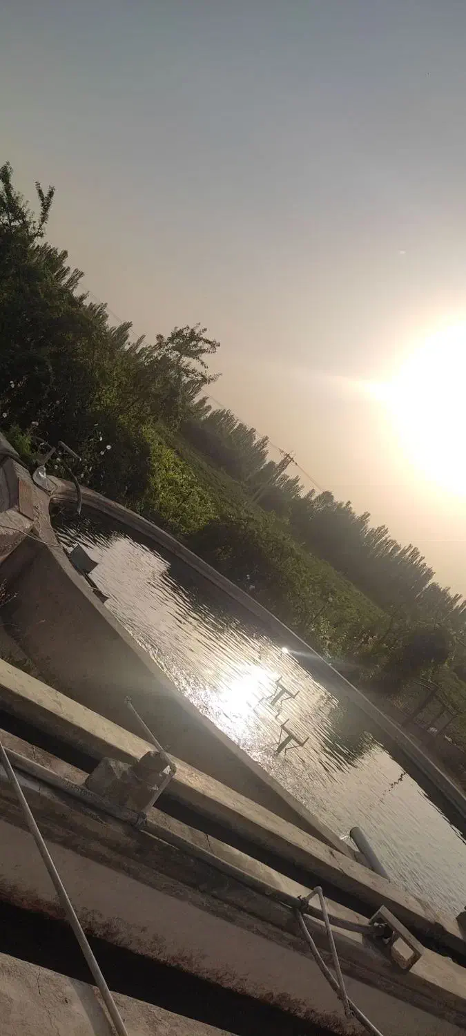 پرورش ماهی|فروش دفتر صنعتی، کشاورزی، تجاری|بکتاش, |دیوار