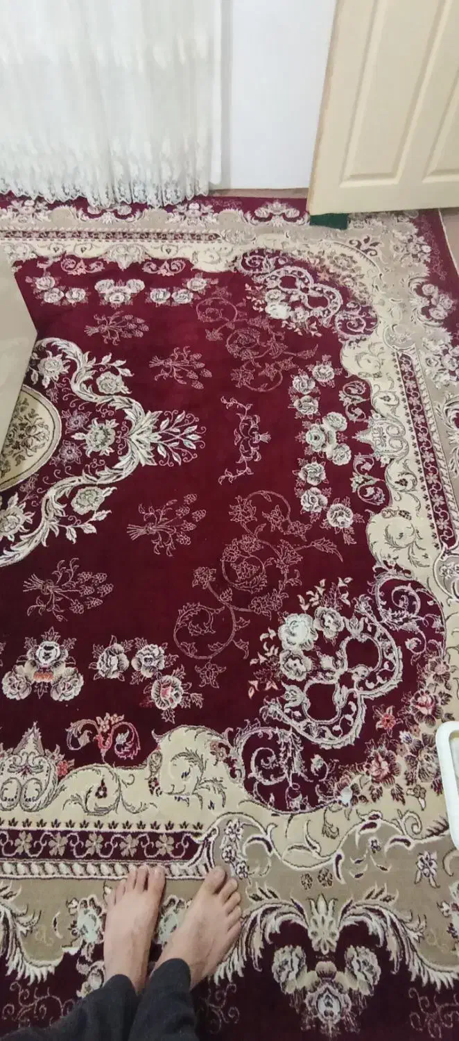 فرش 12متری درحدنو|فرش|مهاباد (آذربایجان غربی), |دیوار