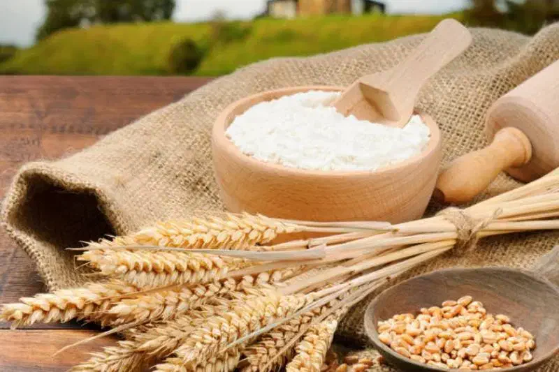 پخش آرد نول قنادی مخصوص سمنو|عمده‌فروشی|قم, شهر قائم|دیوار