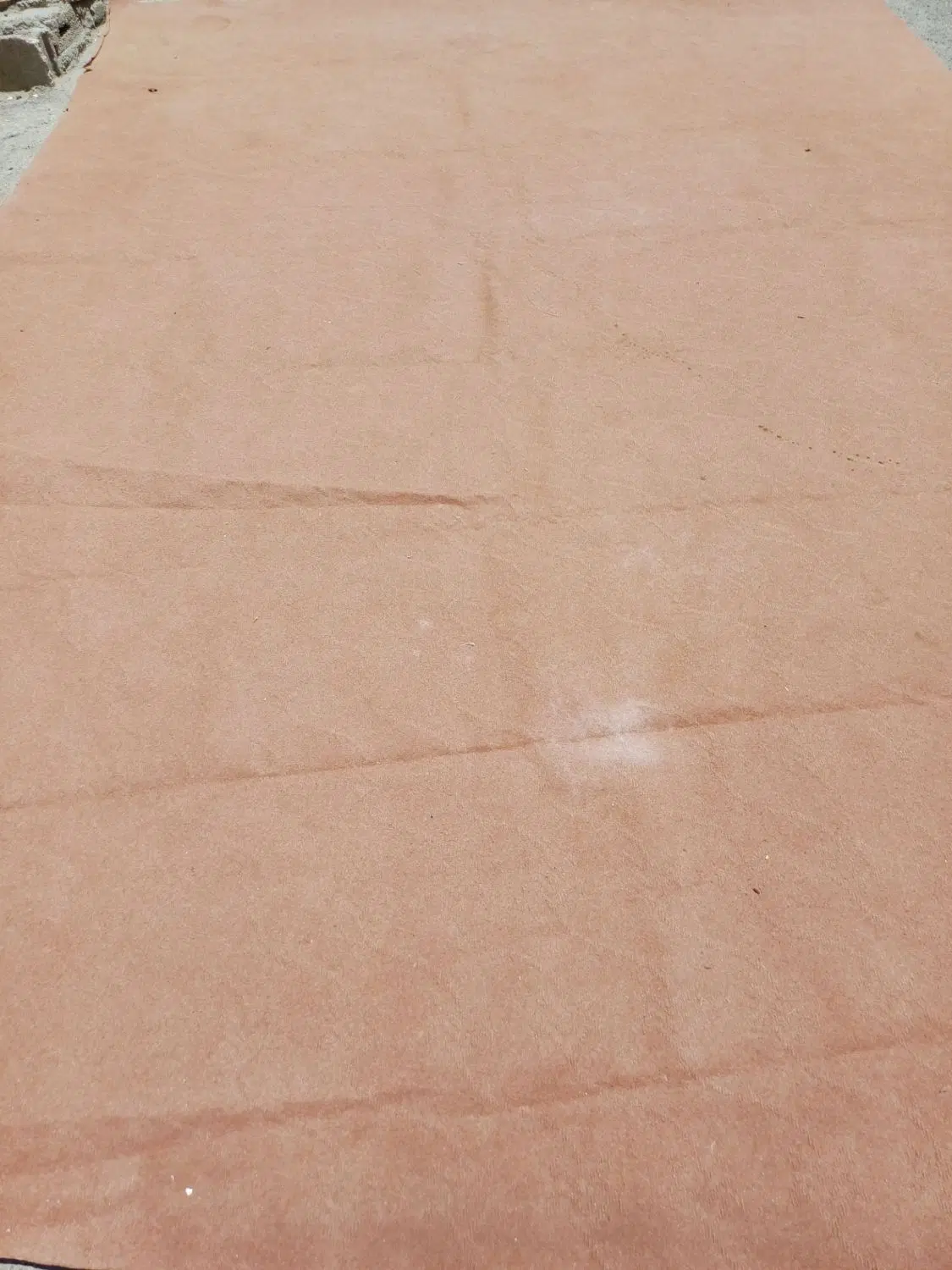 موکت|موکت|سنندج, |دیوار