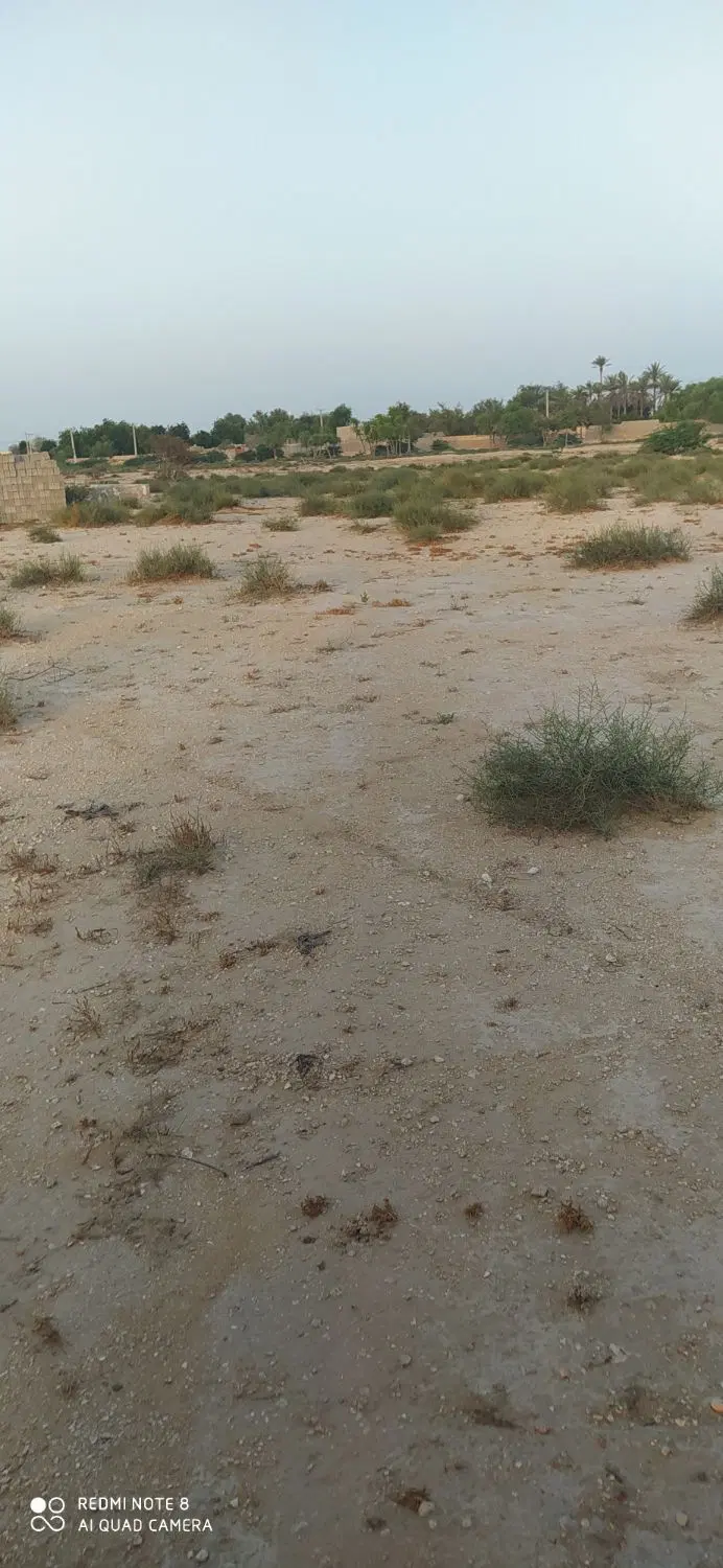 تصویر 3