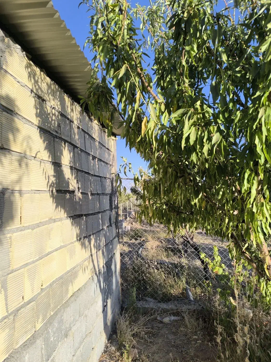 باغ دارای اتاق|فروش زمین و ملک کلنگی|تیران, |دیوار