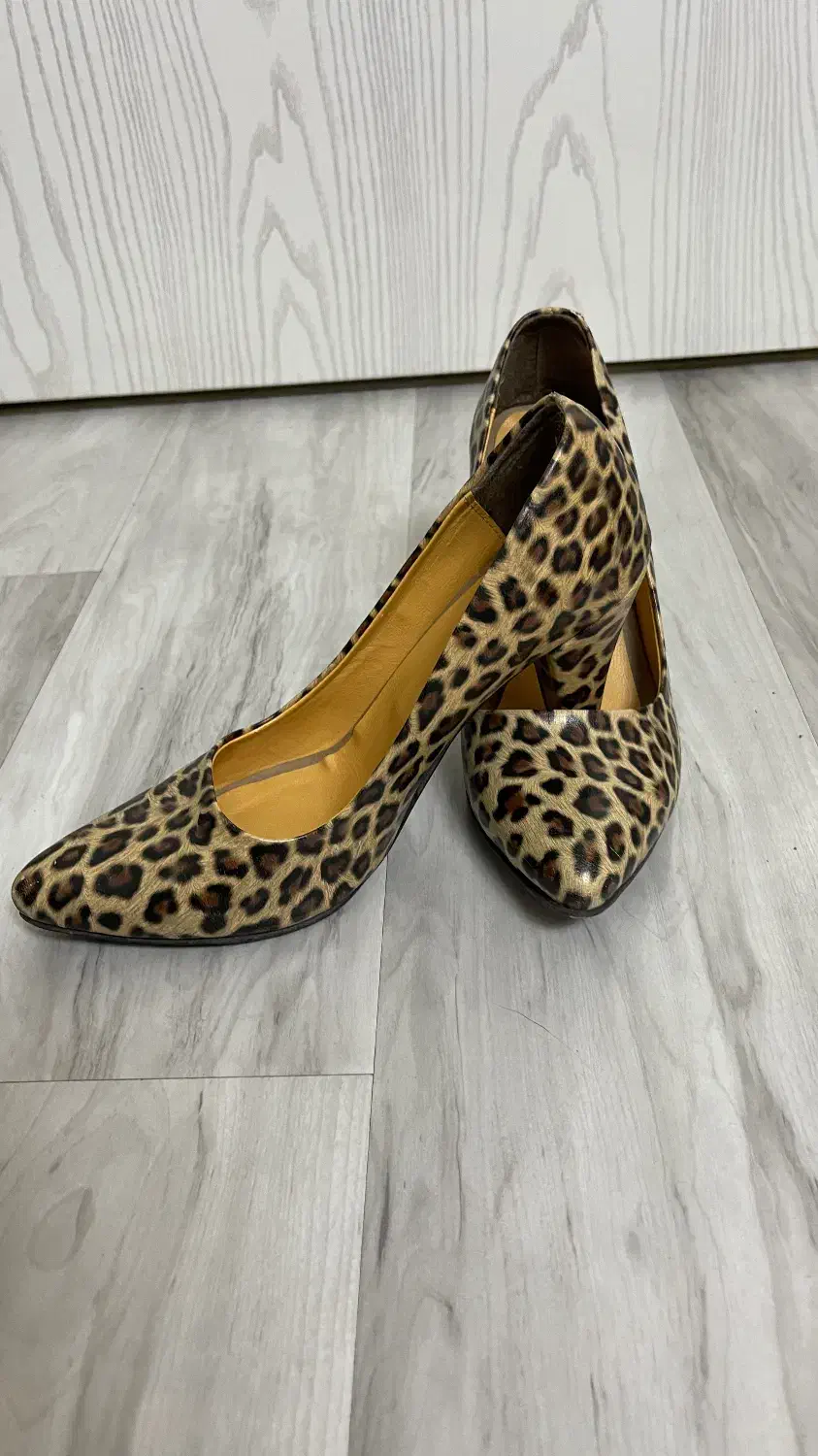 کفش پلنگی|کیف، کفش، کمربند|ملایر, |دیوار