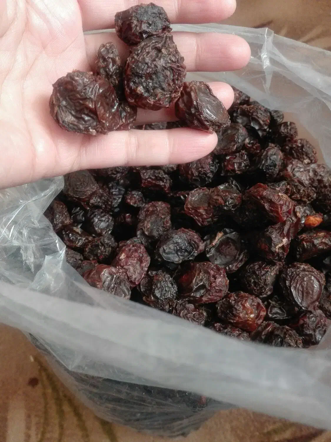 آلو خشک|خوردنی و آشامیدنی|تربتحیدریه, طالقانی|دیوار