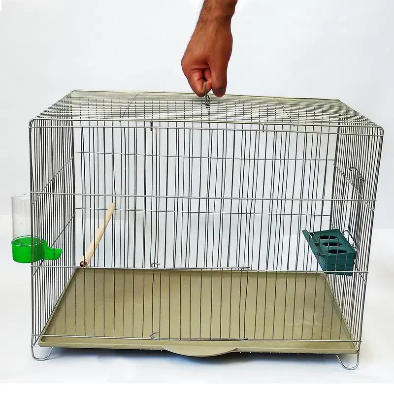 قفس پرنده|لوازم جانبی حیوانات|بروجرد, |دیوار