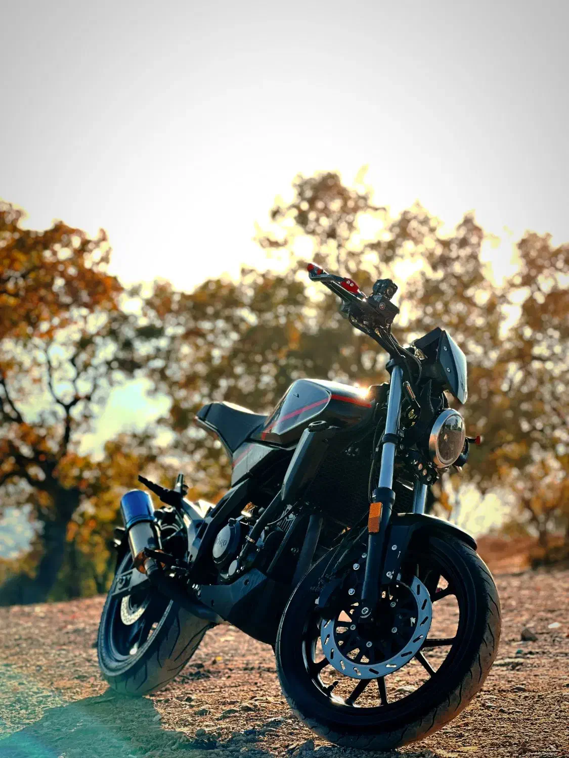 موتور سیکلت تارو اسکرمبلر|موتورسیکلت|یاسوج, |دیوار