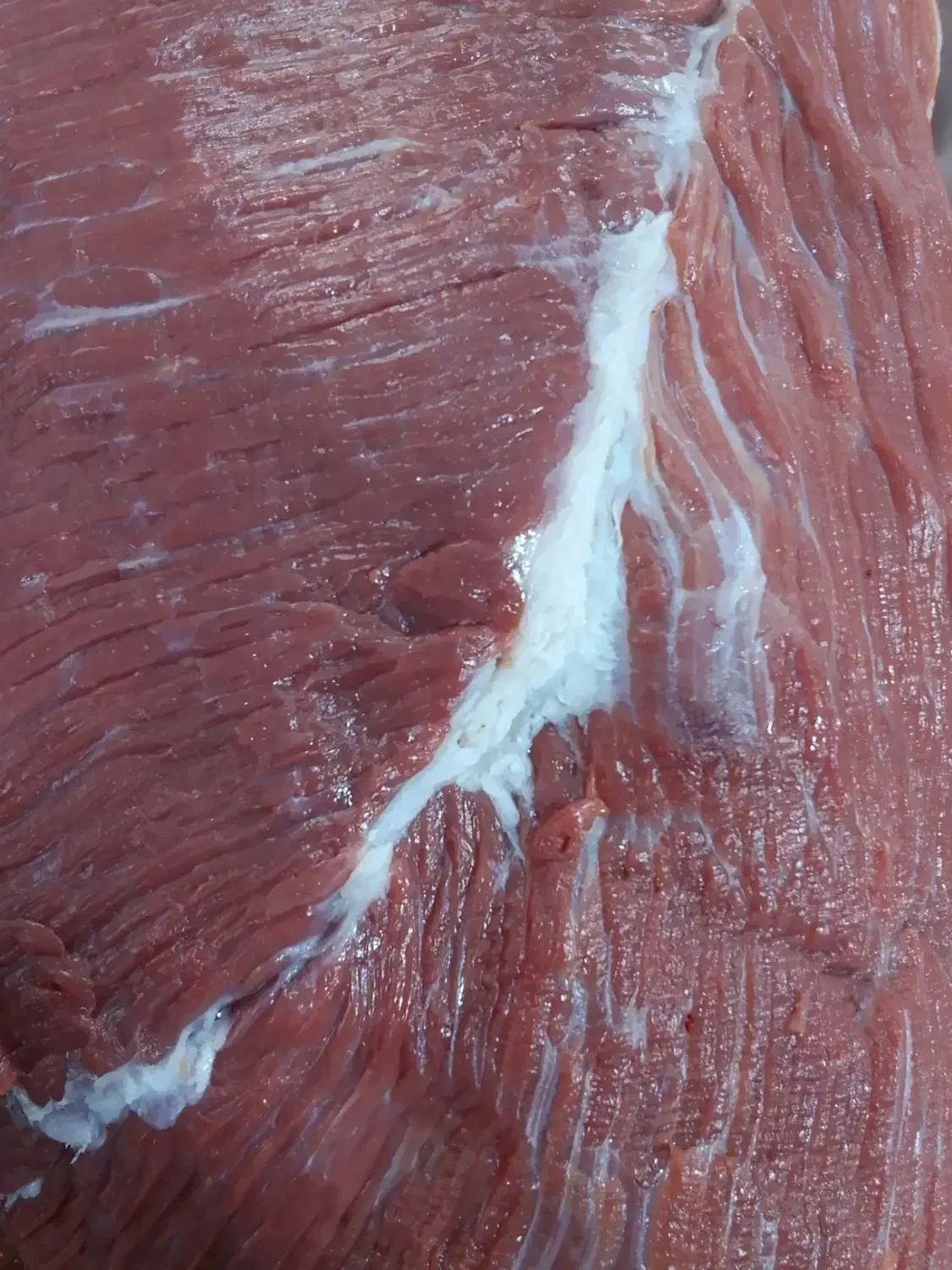 قصاب|استخدام خدمات فروشگاه و رستوران|کرج, جهانشهر|دیوار