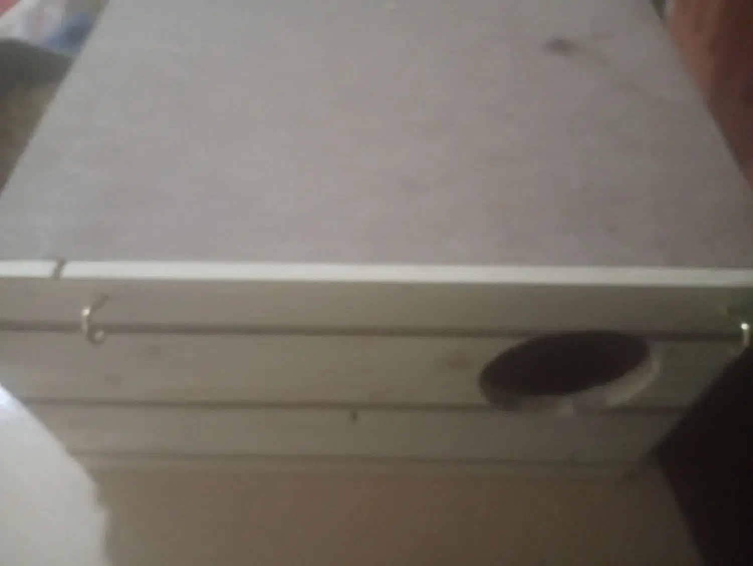 لونه ی پرنده|لوازم جانبی حیوانات|فیروزآباد (فارس), |دیوار