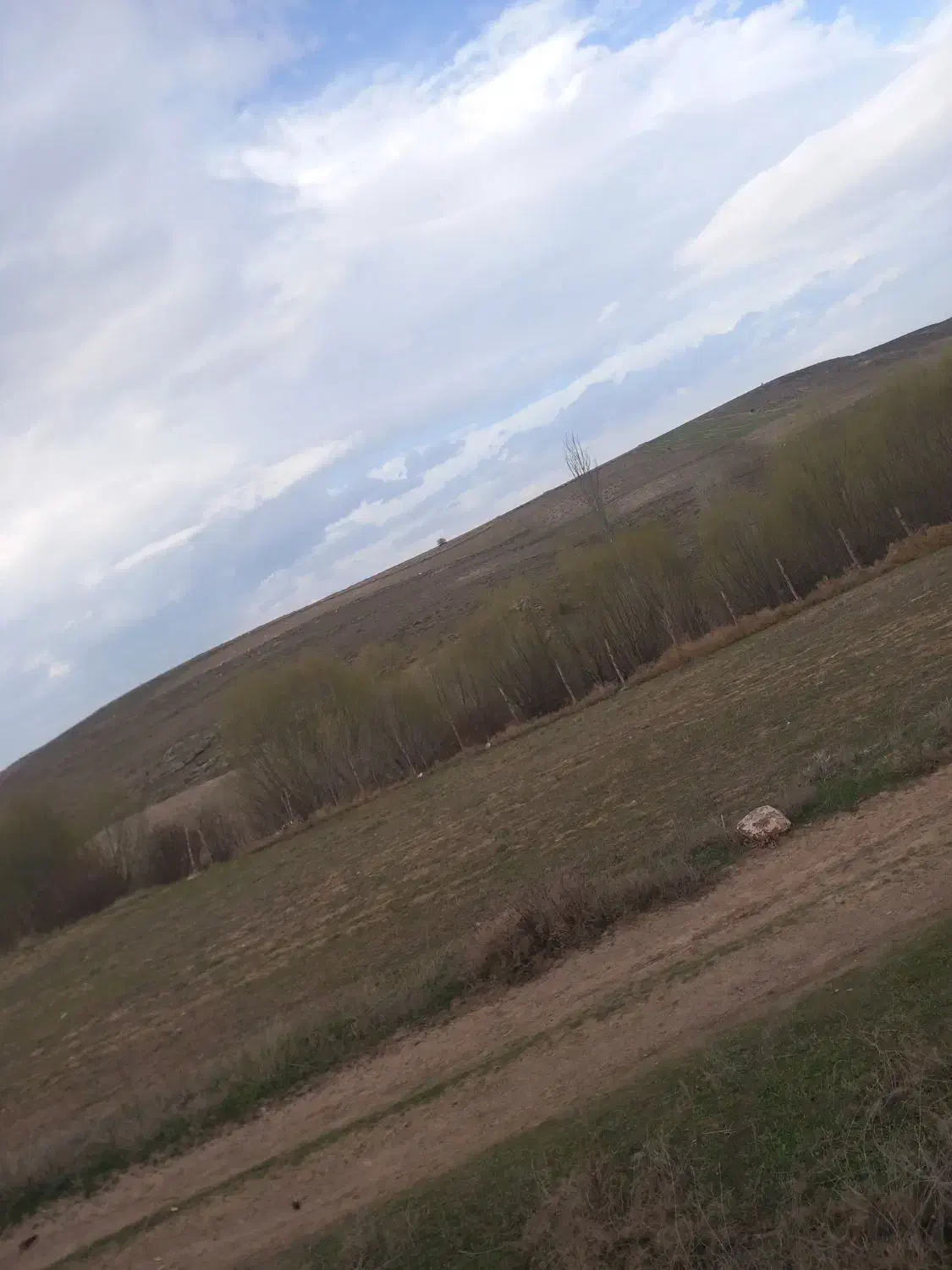 بنایی سیمان کاری|خدمات پیشه و مهارت|سرعین, |دیوار