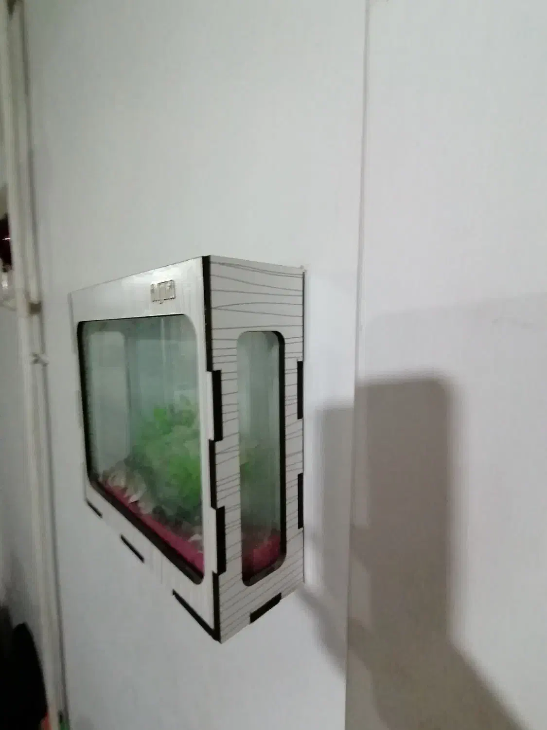 آکواریوم دیواری|ماهیگیری|ارومیه, |دیوار