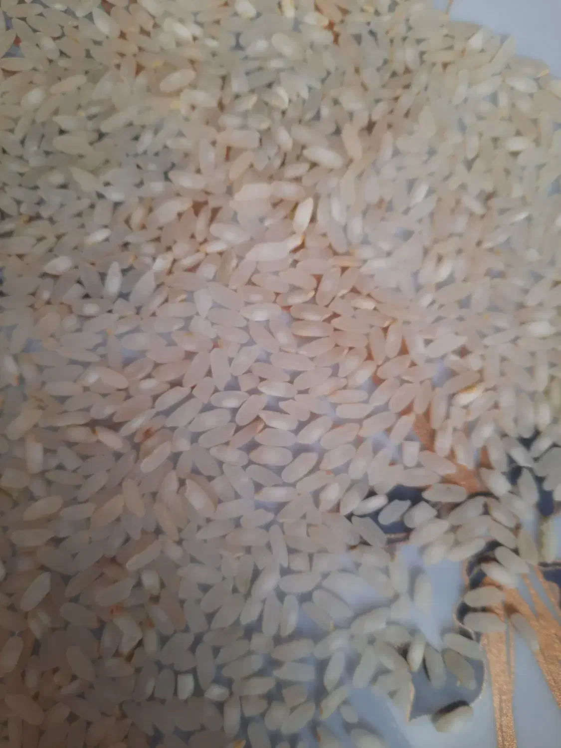 برنج بکیان کامفیروز|خوردنی و آشامیدنی|مرودشت, ثبت احوال|دیوار