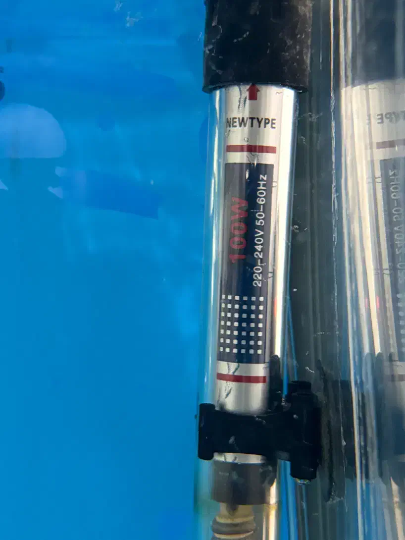 آکواریوم شیشه خم|ماهی|مشکیندشت, |دیوار