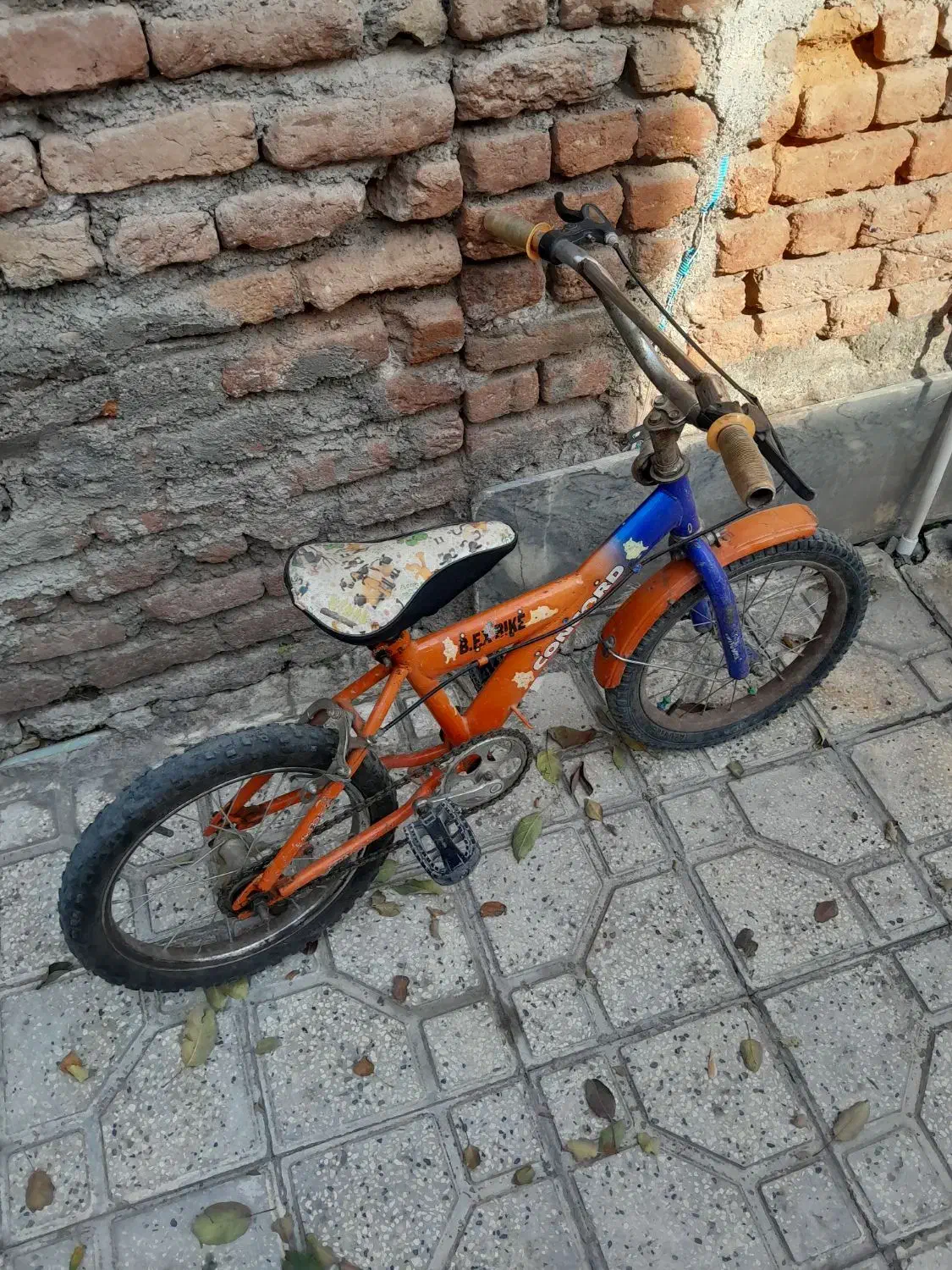 دوعدد دوچرخه سالم بفروش میرسد|دوچرخه، اسکیت، اسکوتر|اردبیل, |دیوار