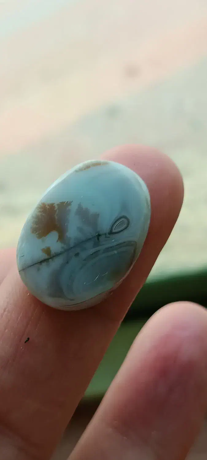 سنگ شجر شجر تک درخت|جواهرات|سلماس, |دیوار